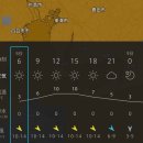 마라톤 | 나고야마라톤 2026 시티마라톤 후기