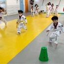 품다태권도장 - 용인시 기흥구 신촌로47번길 6 | 품다태권도장