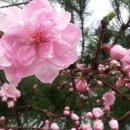 수양2 농장 이미지