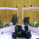 천명농장 이미지