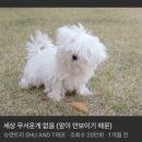 없음 네이버블로그