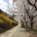 보금자리노인전문요양원 이미지