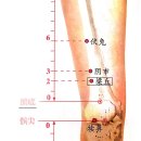 김한의원 네이버블로그