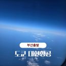 2129 | 부산출발 도쿄여행 KE2129 대한항공 탑승 특별기내식 후기