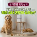 조은동물의료원 이미지