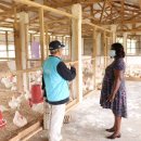 가나태양광발전소 이미지