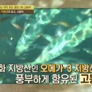 콜레스테롤 낮추는 영양제 찾으신다면 이미지