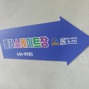 롤스타롤러스케이트장 이미지