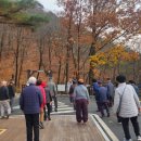 평창군치매안심센터 이미지