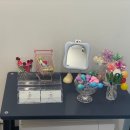 오늘뿐이개 이미지