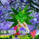 물들어간다는 것은 이미지