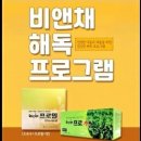 황금비앤채