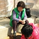 신덕마을 이미지