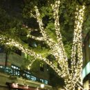 더하우스민박 이미지