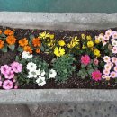 올망유치원 이미지