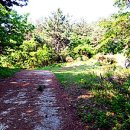 창선치안센터 이미지