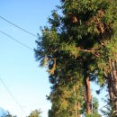 솔바람펜션 이미지