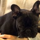 제시카 켄넬 이미지