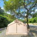 장흥숲길캠핑장 | 전남 장흥 달빛계곡캠핑장 2박3일 여름 캠핑후기