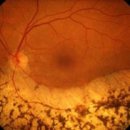 더 베이직 안경원 이미지