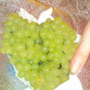 희숙농장 이미지