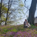 학원목장 이미지