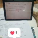 더케일리