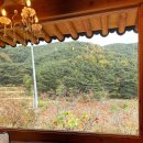[경북 청도] 대구 근교 초대형 한옥 카페 ‘아떼에르인예다숲’ 솔직후기