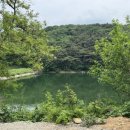 은봉애견 이미지