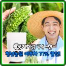고려농원 | 국산 여주차 77% 할인! 청년농원 볶은 여주 티백 효능과 후기 파헤치기