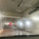 미미그루밍 | 다이소 유막제거제 실패 9,900원 가격의 오토그루밍 자동차 유막제거 발수코팅 셀프 방법 비용 후기