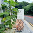 토다베이글 | 내돈내산 서초 우면동 베이글 맛집 토다베이글본점 후기 베이글, 크림치즈 종류