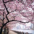 더베스트어학원 이미지