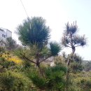 태솔농장 이미지