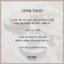 알라망손뜨개 이미지