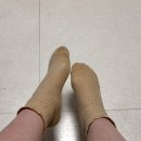 에끌라마마 산후조리원 이미지