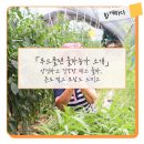 담소푸드 이미지