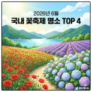 2026 국내 꽃축제 추천, 6월 꽃구경 명소 4곳 총정리