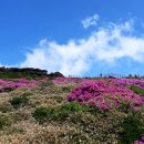 딸과함께(제주도 여행) 이미지