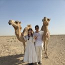 땡큐 PC방 | 아부다비 사막투어 솔직 후기 (모래 씹어본 사람의 팁) 🐫🌵