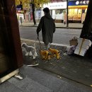 조광택시 이미지