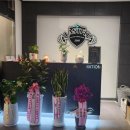 라스트핏 이미지