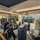 핑크덤벨 이미지