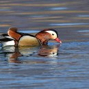 청도천2 이미지