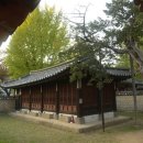 성균관대학교 - 7702 | 성균관대학교