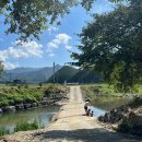 양촌랜드 이미지