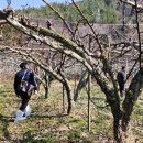 함평센터-13 이미지