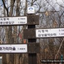 주읍