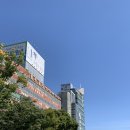 더블유외과의원 이미지