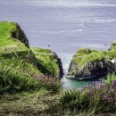 회진시장 이미지